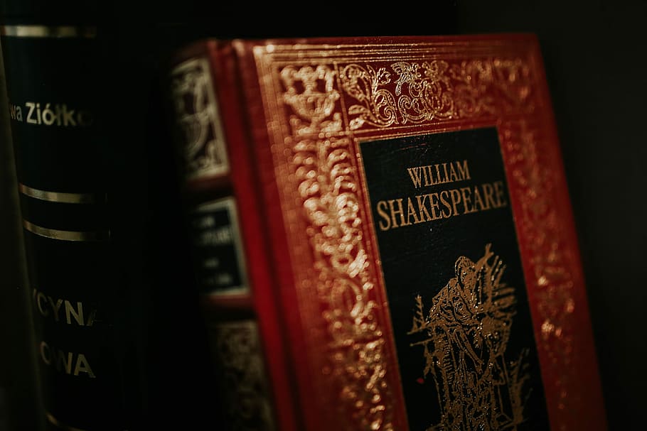 Shakespeare’in ”İlk Folyo” isimli kitabı satıldı